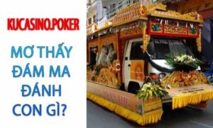 Mơ thấy đám ma đánh con gì? Là điềm báo lành hay dữ?