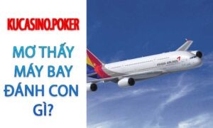 Mơ thấy máy bay đánh con gì? Máy bay số mấy?