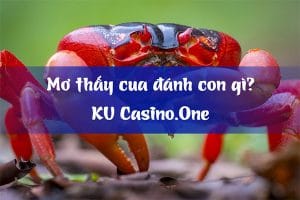 Nằm mơ thấy cua đánh gì?