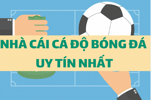 Lựa chọn nhà cái uy tín để cá độ bóng đá