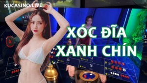 Cách đánh xóc đĩa xanh chín của cao thủ cá cược